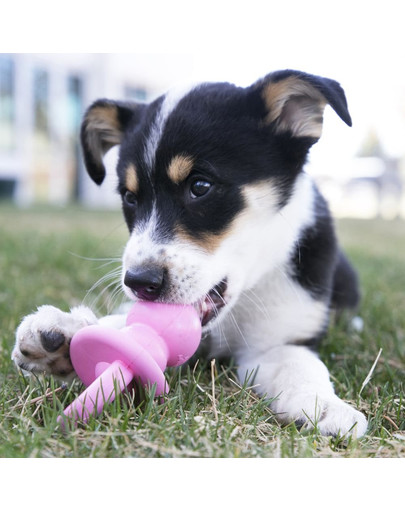KONG Puppy Binkie S 115mm