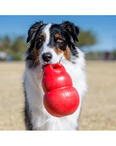 KONG Bounzer large 20 cm pb1