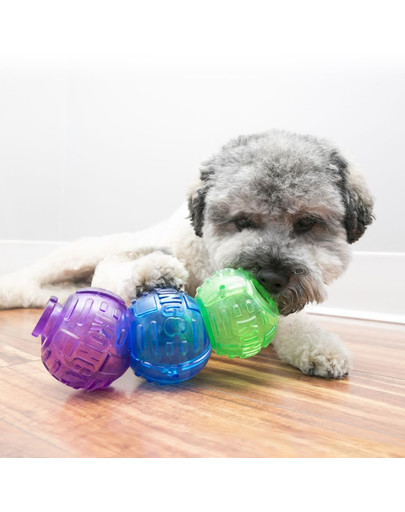 KONG Lock-It 3-pk S