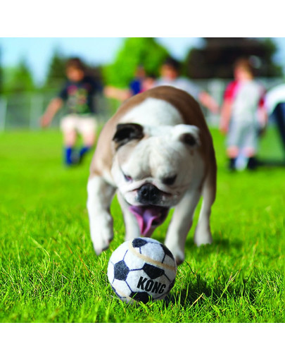 KONG Sport Balls Assorted L  2 art