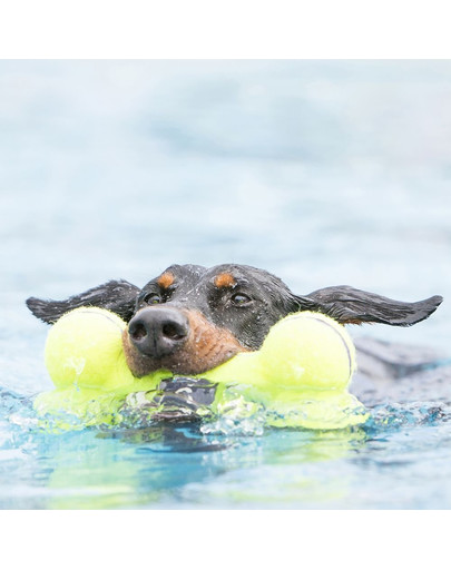 KONG AirDog Squeaker Bone medium 15.5 cm