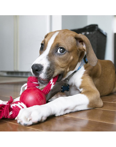 KONG Ball w/Rope S