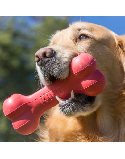 KONG Goodie Bone L 22 cm