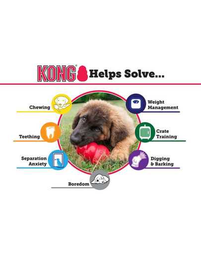 KONG Classic large 105 mm t1