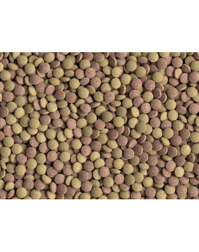 TETRA Tablets TabiMin 1040 comprimés de nourriture pour poissons de fond