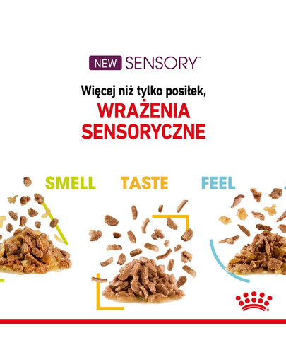 ROYAL CANIN Sensory smell gravy 12x85 g