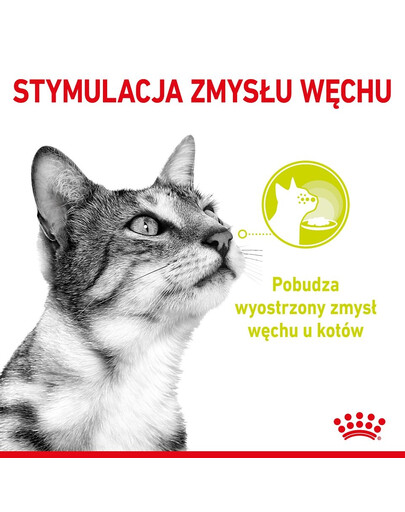 ROYAL CANIN Sensory Smell, Taste, Feel morceaux en sauce pour chats 12 x 85 g stimuler les sens