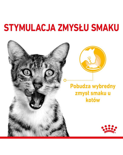 ROYAL CANIN Sensory Smell, Taste, Feel morceaux en sauce pour chats 12 x 85 g stimuler les sens