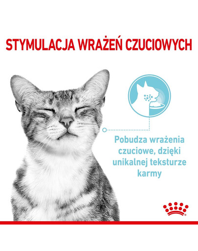 ROYAL CANIN Sensory Smell, Taste, Feel morceaux en sauce pour chats 12 x 85 g stimuler les sens