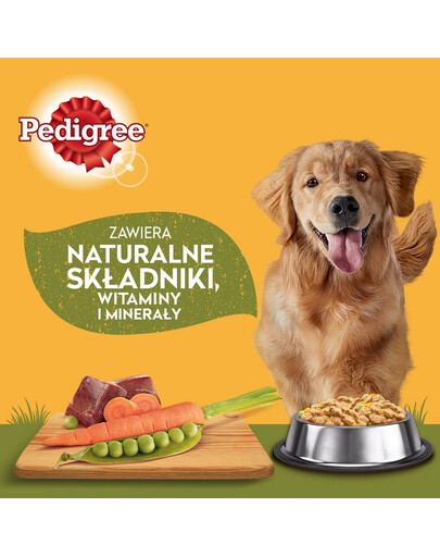 PEDIGREE Adult nourriture humide pour chiens mélange de saveurs 40 sachets de 100 g