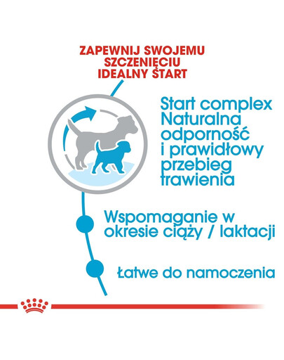 ROYAL CANIN Mini Starter Mother& Babydog 4 kg karma sucha dla suk w ciąży i okresie laktacji oraz szczeniąt, od 4 do 8 tygodnia, ras małych