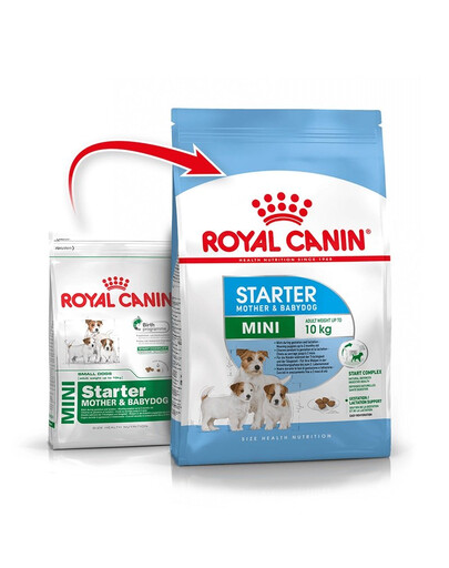 ROYAL CANIN Mini Starter Mother& Babydog 4 kg karma sucha dla suk w ciąży i okresie laktacji oraz szczeniąt, od 4 do 8 tygodnia, ras małych