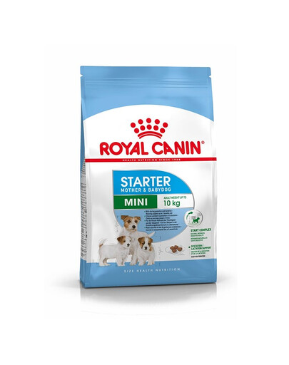 ROYAL CANIN Mini Starter Mother & Babydog 4 kg - Croquettes pour chiots et chiennes en gestation et en lactation