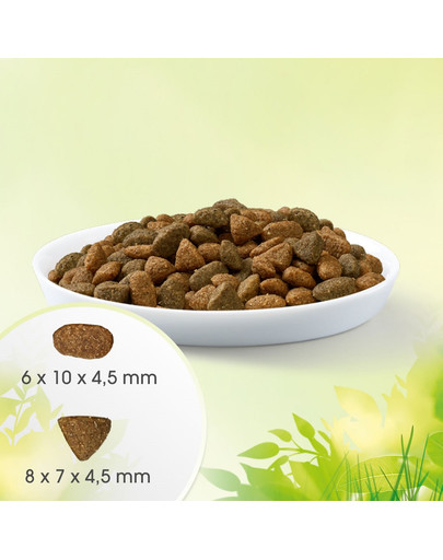 PERFECT FIT Natural Vitality au poulet et à la dinde pour chats adultes 6 kg