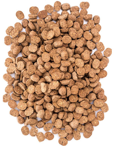 DOLINA NOTECI Superfood Danie z indyka karma suszona 1 kg