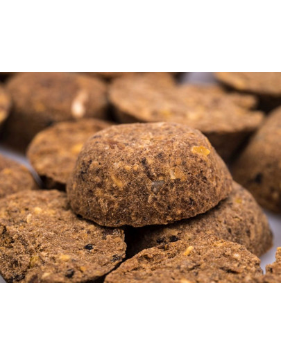 FORZA10  Maintenance Light avec thon aliments secs à calories réduites pour chiens 12.5kg
