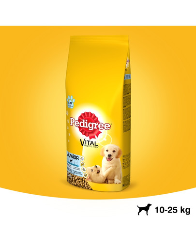 PEDIGREE Vital Protection Junior medium pollo 15 kg
