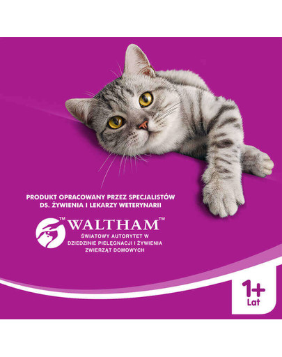 KITEKAT Croquettes pour chat White Fish Vegetable 12 kg