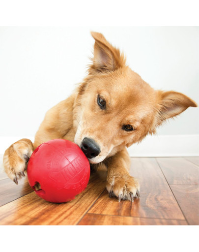 KONG Biscuit Ball L