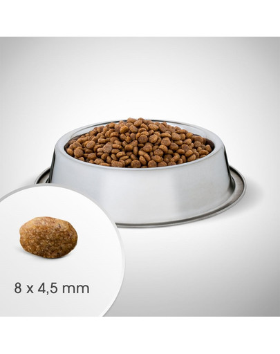 ROYAL CANIN Satiety Weight Management Aliments humides pour chats adultes obèses ou en surpoids 24x85 g