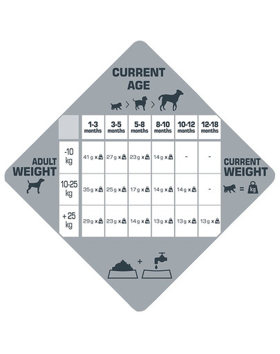 BRIT FRESH chicken & sweet potato 12 x 400 g kurczak i bataty