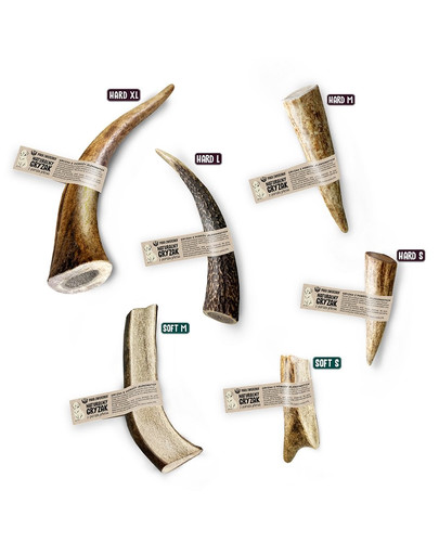 Promotion HILL'S Science Plan 3 en conserve gratuit