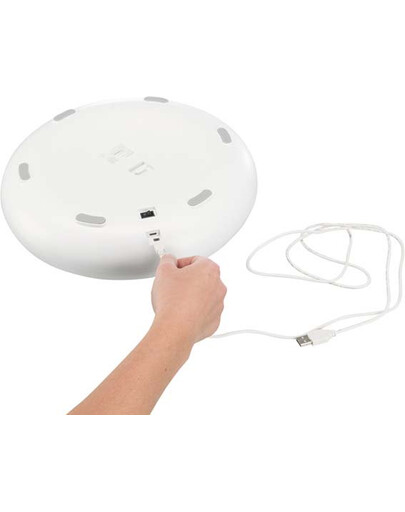 VETEXPERT RAW PALEO Adult beef 800 g nourriture humide au boeuf 5+1 GRATUITS