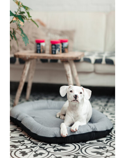 DOLFOS HORSEMILK 10 kg Mleko dla źrebiąt