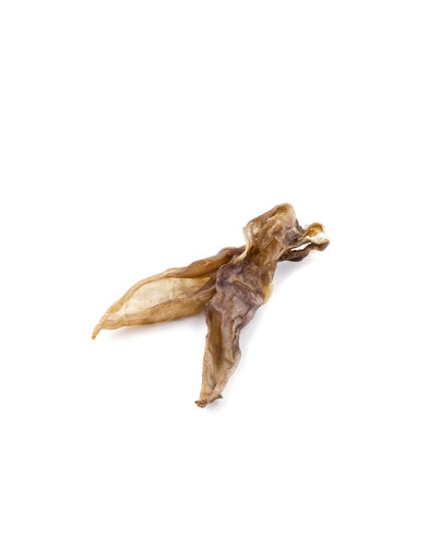 PEDIGREE Adult saszetka 40x100g Mix Smaków - mokra karma dla psów w galaretce (z wołowiną, z kurczakiem, z jagnięciną, z drobiem) + PREZENT