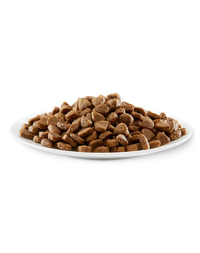 KORONA NATURY Mieszanka szynszyla 1,6kg