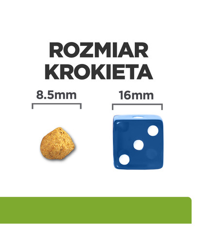 GARFIELD Saszetka dla dorosłych kotów z łososiem 85g