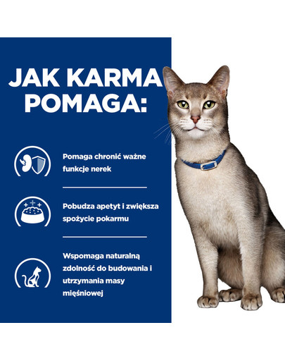 HILL'S Prescription Diet Cat K/D Kidney Care 3 kg