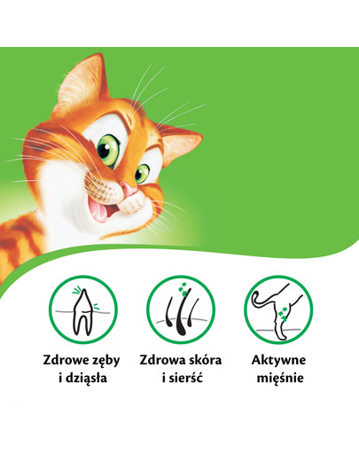 KITEKAT Manzo e verdure 12 kg