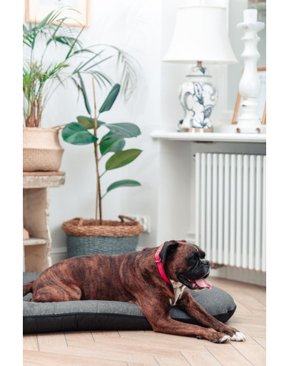 FERA Sunset Ponton Letto per cani M 86 x 58 cm