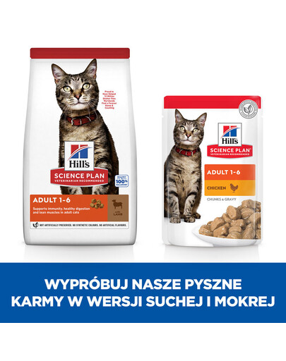 ECOMFY Expender Jouet à expansion 37x9cm couleur olive foncée