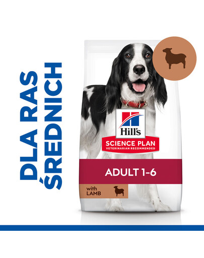 DR HUGGY Supreme Dog Nutrition saumon avec truite et igname 100g