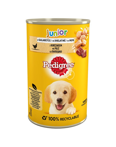 PEDIGREE Junior con pollo in gelatina 400g