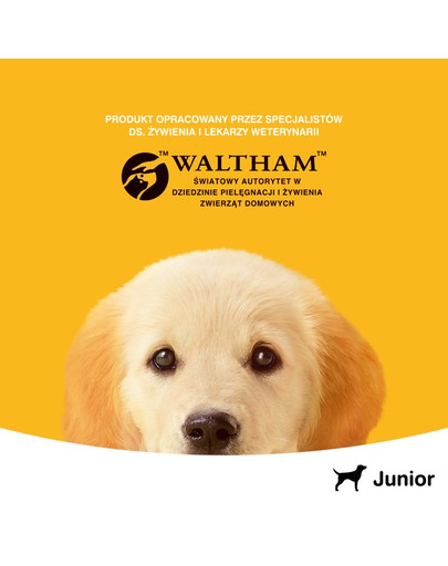 PEDIGREE Junior con pollo in gelatina 400g