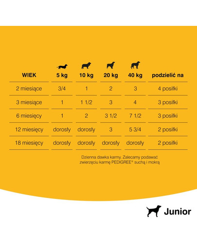 PEDIGREE Junior con pollo in gelatina 400g