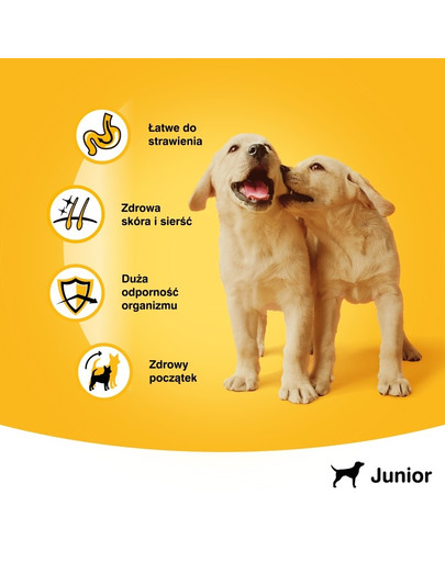 PEDIGREE Junior con pollo in gelatina 400g
