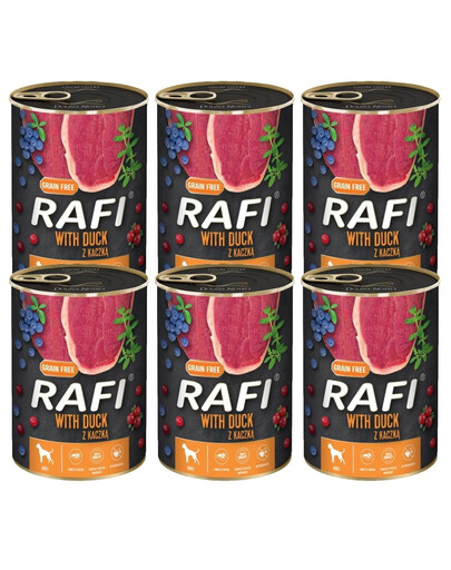 ARUBA Cat Organic Saumon et dinde avec bok choy et curcuma 70 g