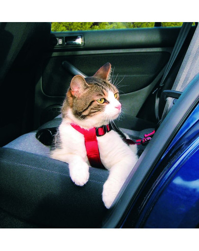 TRIXIE Harnais de voiture pour chats
