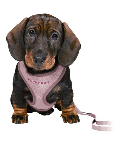 IAMS ProActive Health Adult with Lamb & Chicken 10kg