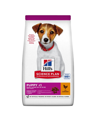 HILL'S Science Plan Canine Puppy Small & Mini pollo 6 kg