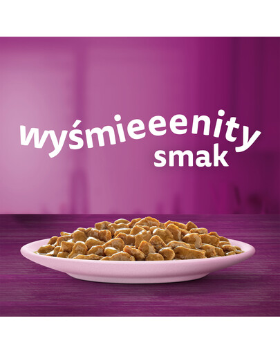 TICKLESS Mini Cat Répulsif ultrasonique contre les tiques et les puces pour chats Noir