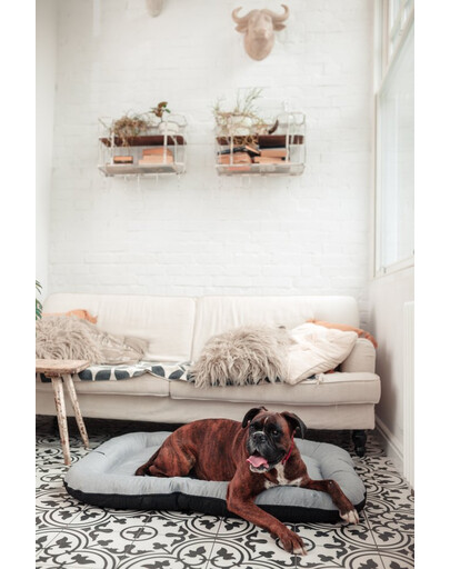 FERA Sky Ponton legowisko dla psa XL 116 x 83 cm