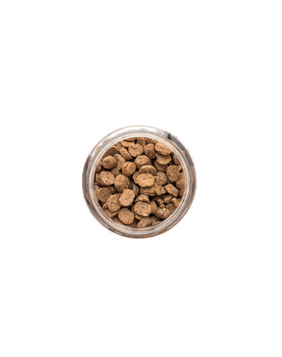 SANICAT Kittyfriend Clumping 5 l bentonite grit