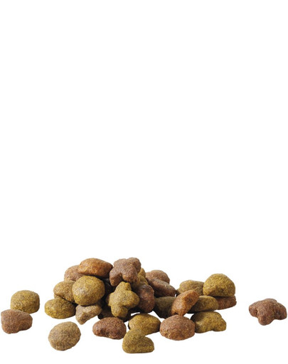 ALMO NATURE HFC Natural jagnięcina z szynką w bulionie dla psa 95 g