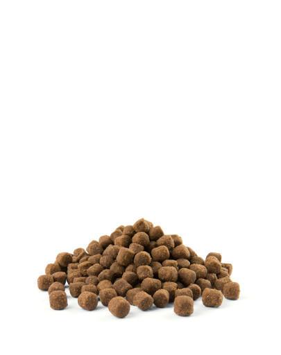 JOSERA JosiCat Crispy Duck - Croquettes croustillantes avec du canard pour chats adultes - 3x1,9kg