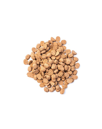 SIMPLY FROM NATURE Training Treats con manzo 300 g